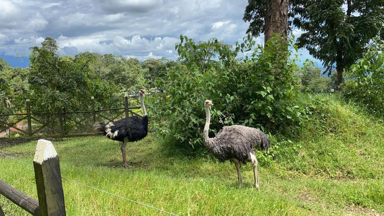 ホテル Rancho Ecoturistico El Faro ラ・メサ エクステリア 写真