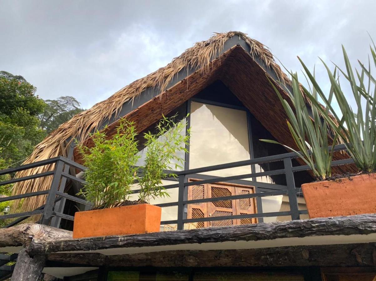 ホテル Rancho Ecoturistico El Faro ラ・メサ エクステリア 写真