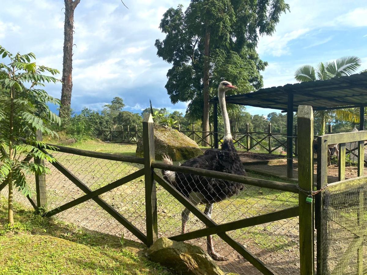 ホテル Rancho Ecoturistico El Faro ラ・メサ エクステリア 写真