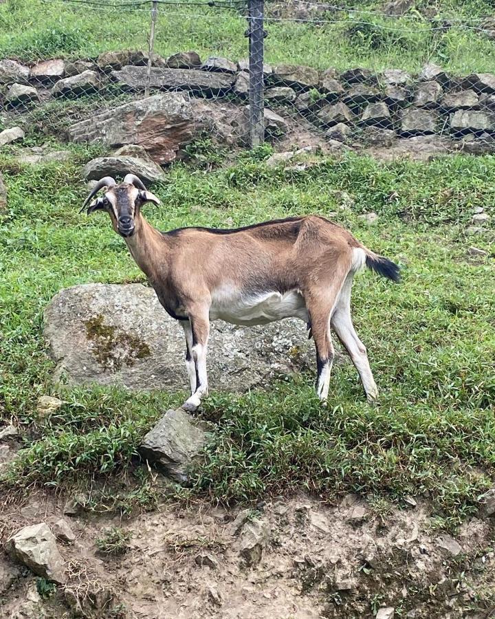 ホテル Rancho Ecoturistico El Faro ラ・メサ エクステリア 写真